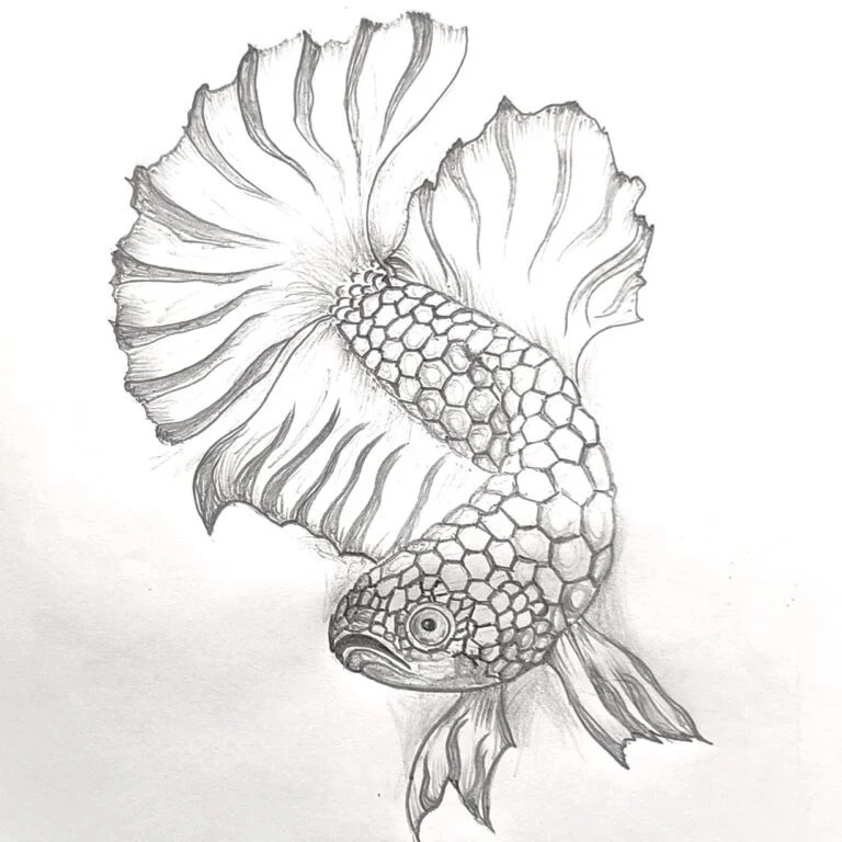 Beautiful Fish